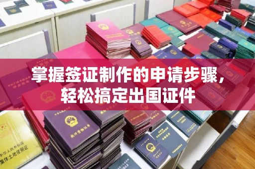 丹棱掌握签证制作的申请步骤，轻松搞定出国证件